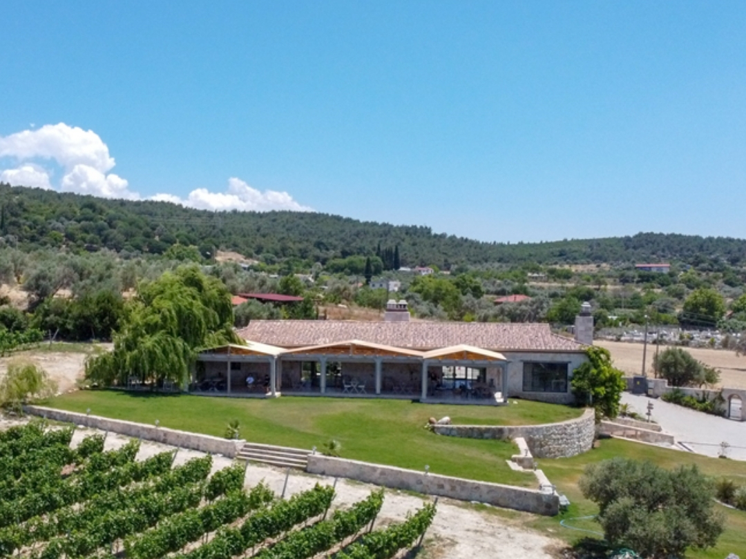 USCA Wines from Sky photograph.