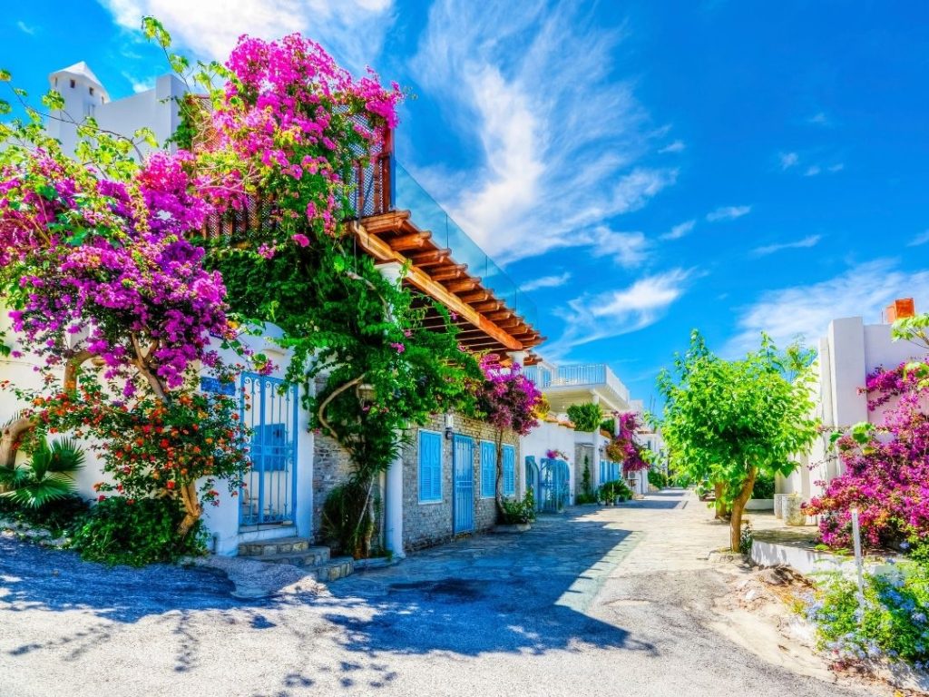 Flowers and Summer houses at Bodrum. One of best destinations honeymoon in Turkiye.