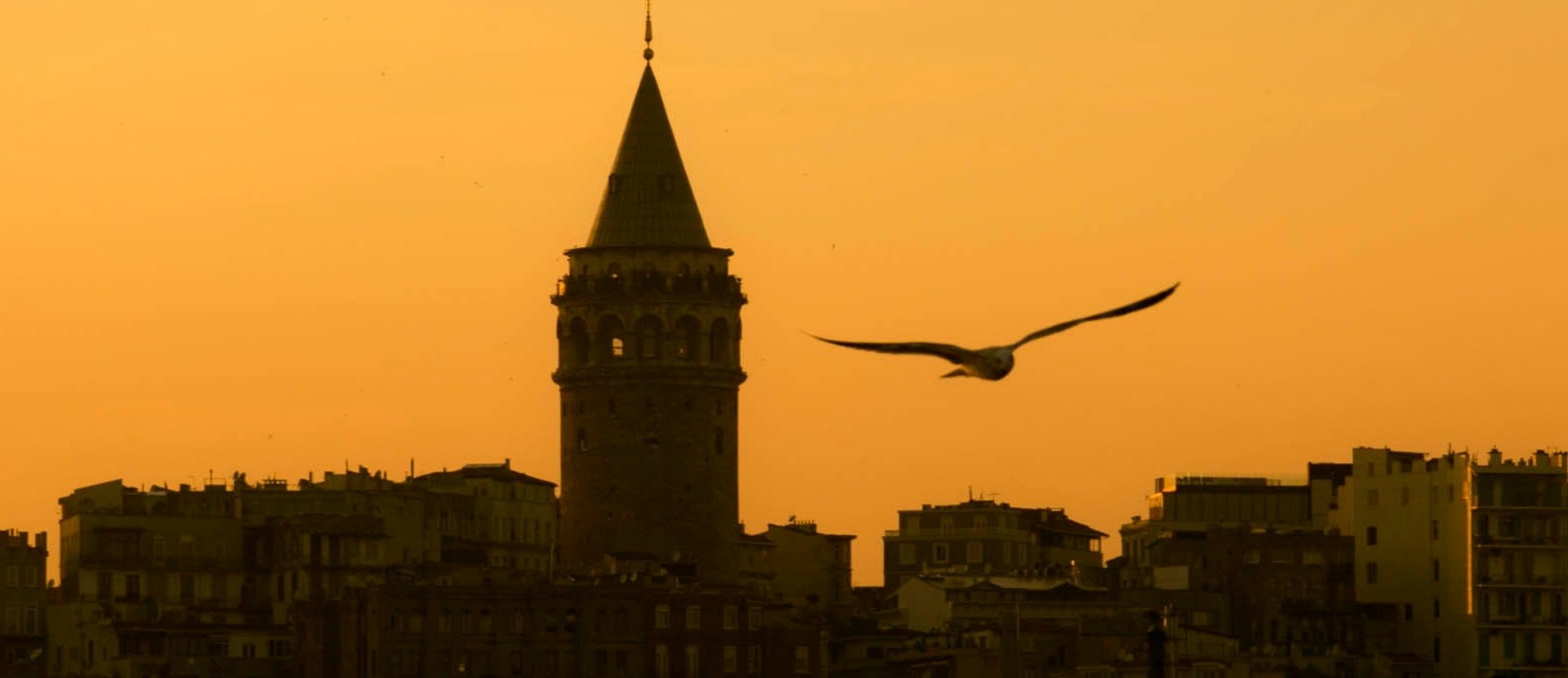 Istanbul Ottoman Palace Cuisine