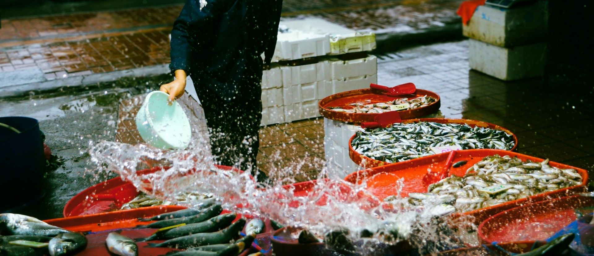 Balik Ekmek Fish Sandwich Eminonu