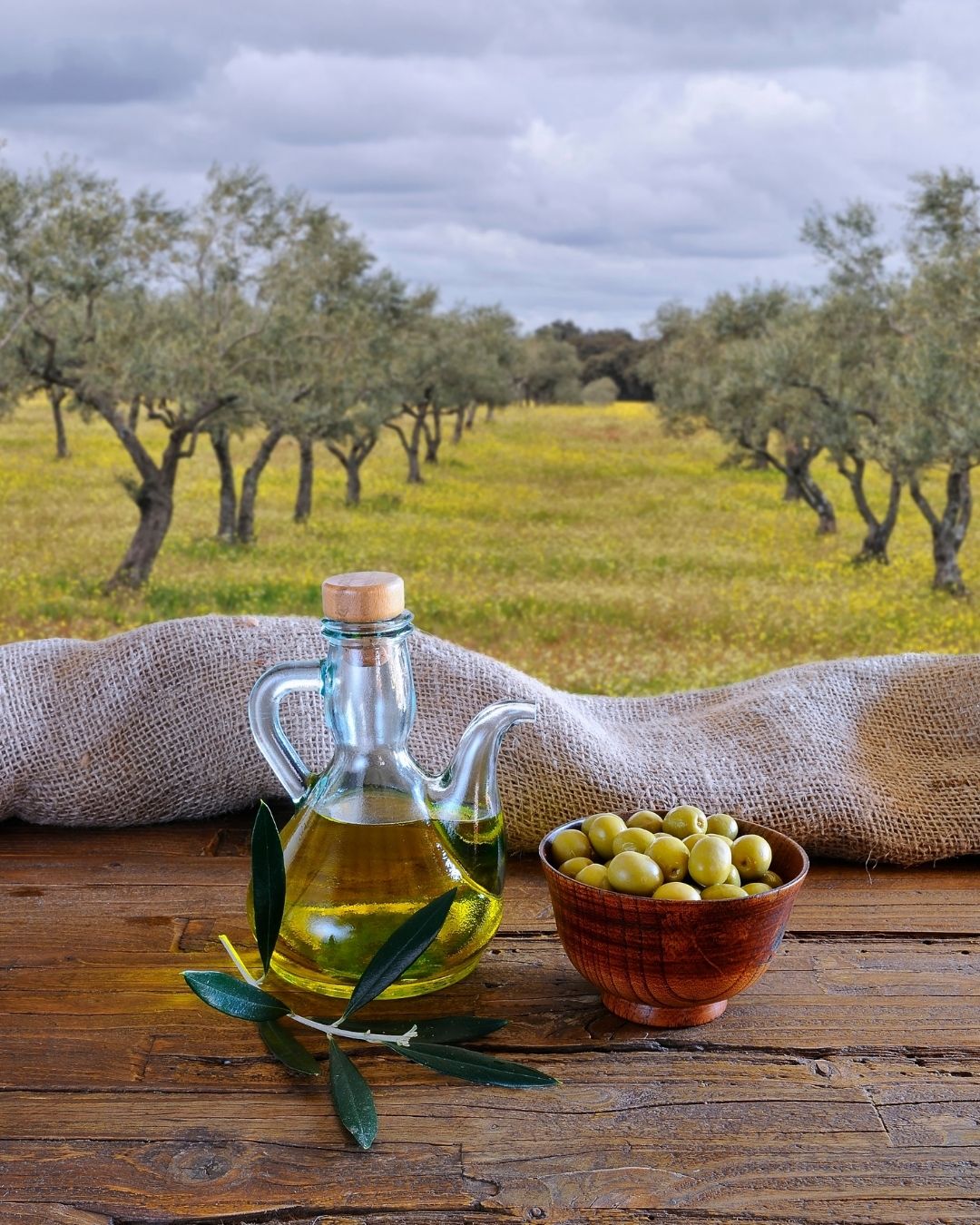 Aegean Olive Oil and Seafood