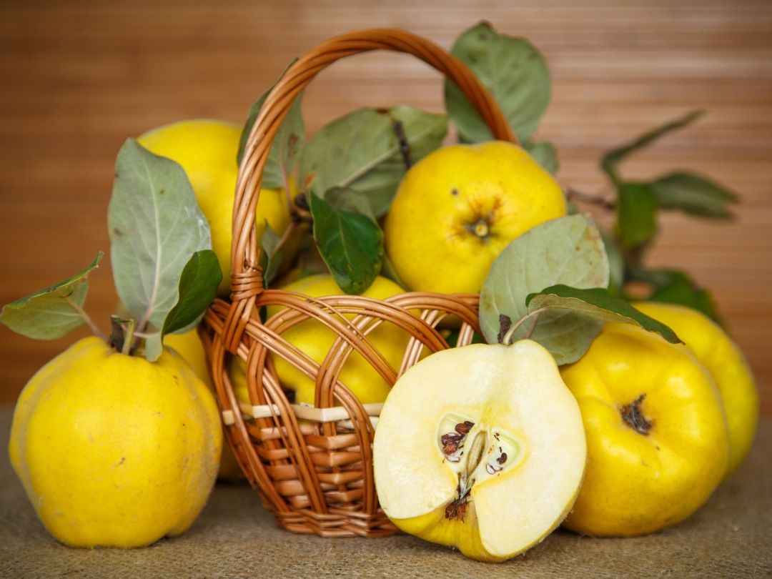 Turkish Quince: Golden Winter Secret of Turkish Cuisine